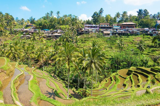8 Days Indonesia Luxury Tours Bali Ubud Gianyar Seminyak Nusa Lembongan Kuta